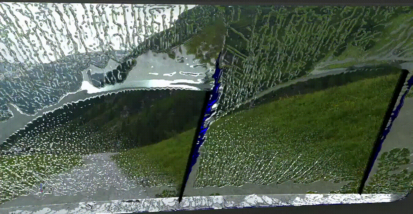 Image Alt Text