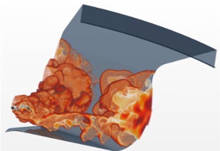 Image Alt Text